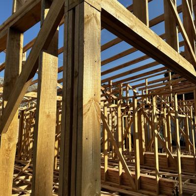 Photo 2025 10 22 12 07 49 4