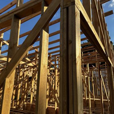 Photo 2025 10 22 12 07 49 5