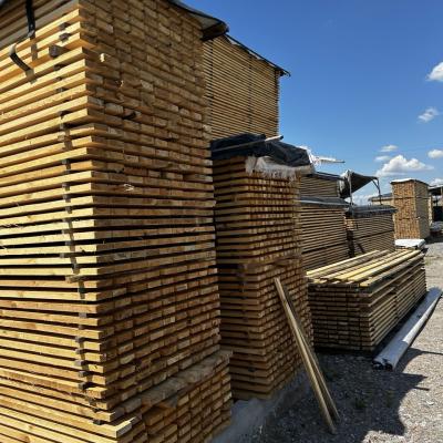 Photo 2025 10 22 12 08 47 2