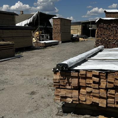 Photo 2025 10 22 12 08 47 3