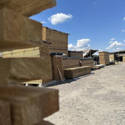 Photo 2025 10 22 12 08 47