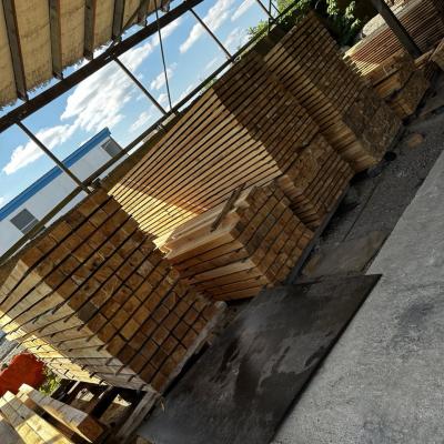 Photo 2025 10 22 12 12 27 2