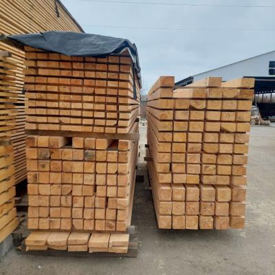 Photo 2025 10 22 12 17 02 4